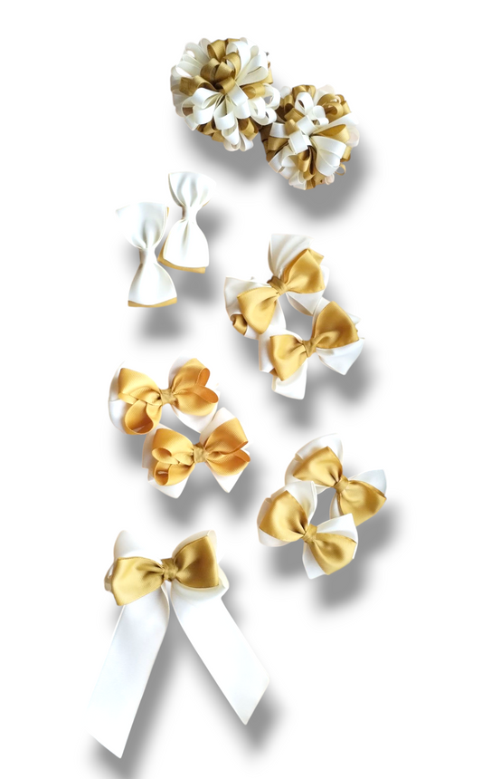 Set de lazos escolares