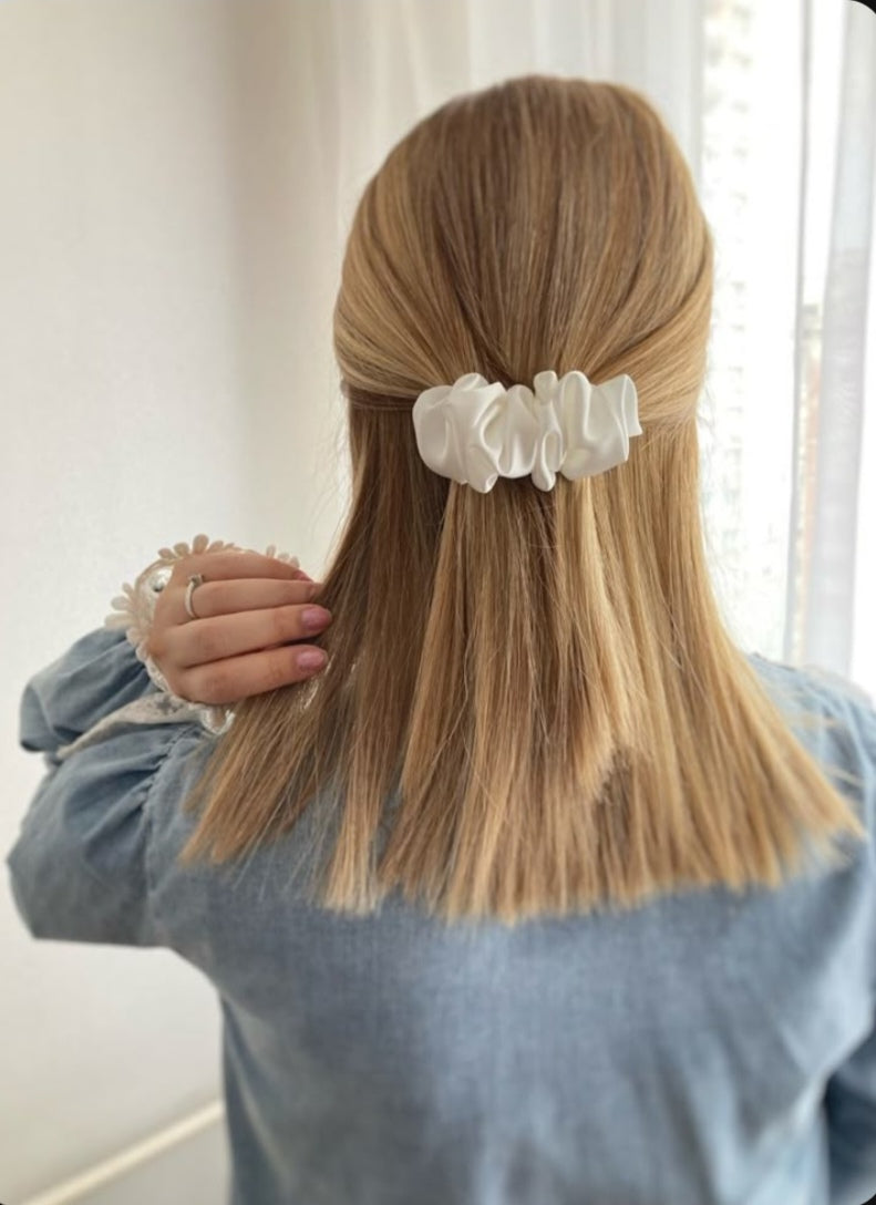 Hair clips para adulta