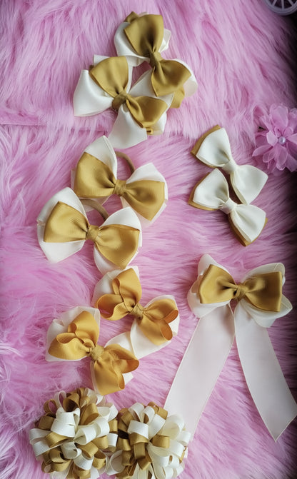 Set de lazos escolares